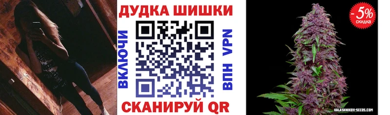 Бошки Шишки MAZAR  Купить где  Черноголовка 